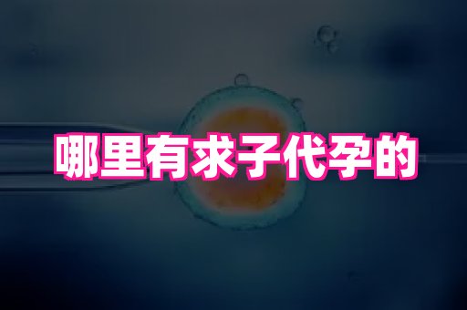 69助孕网 3